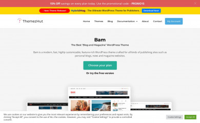 Bam screenshot